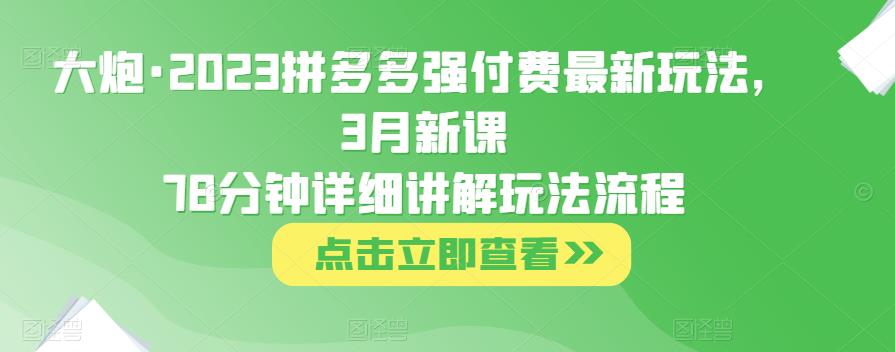 大炮·2023拼多多强付费最新玩法，3月新课​78分钟详细讲解玩法流程-启航188资源站