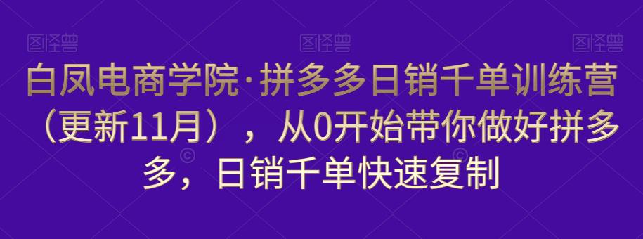 白凤电商学院·拼多多日销千单训练营，从0开始带你做好拼多多，日销千单快速复制（更新知2023年3月）-启航188资源站