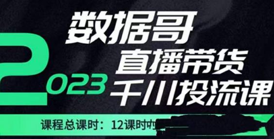 数据哥2023直播电商巨量千川付费投流实操课，快速掌握直播带货运营投放策略-启航188资源站