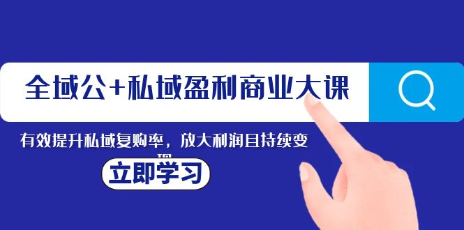 （8045期）全域公+私域盈利商业大课，有效提升私域复购率，放大利润且持续变现-启航188资源站