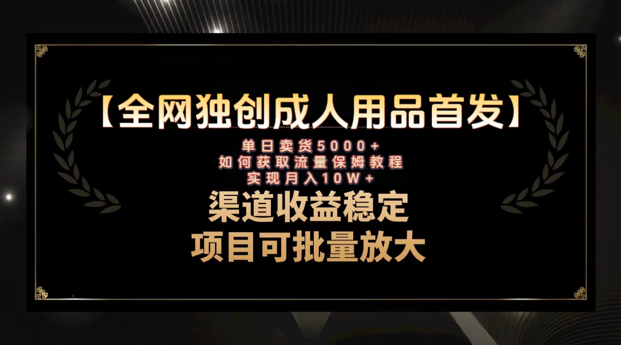 （8128期）最新全网独创首发，成人用品赛道引流获客，月入10w保姆级教程-启航188资源站