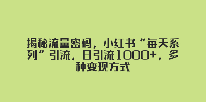 （8179期）揭秘流量密码，小红书“每天系列”引流，日引流1000+，多种变现方式-启航188资源站