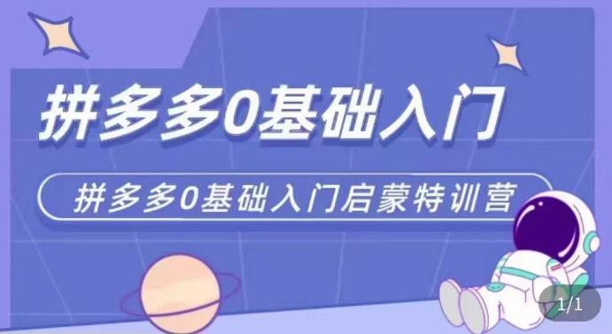 拼多多运营0-1实操特训营，拼多多0基础入门，从基础到进阶的可实操玩法-启航188资源站