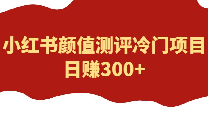 外面1980的项目，小红书颜值测评冷门项目，日赚300+【揭秘】-启航188资源站