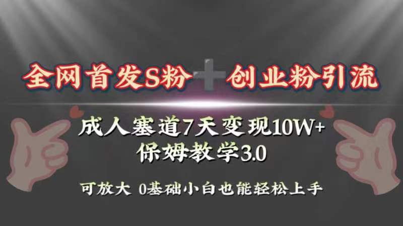 （8337期）全网首发s粉加创业粉引流变现，成人用品赛道7天变现10w+保姆教学3.0-启航188资源站