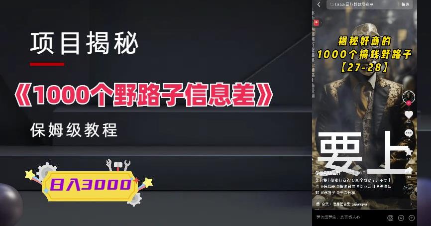 1000个野路子信息差保姆式教程-单日变现3000+的玩法解密-启航188资源站