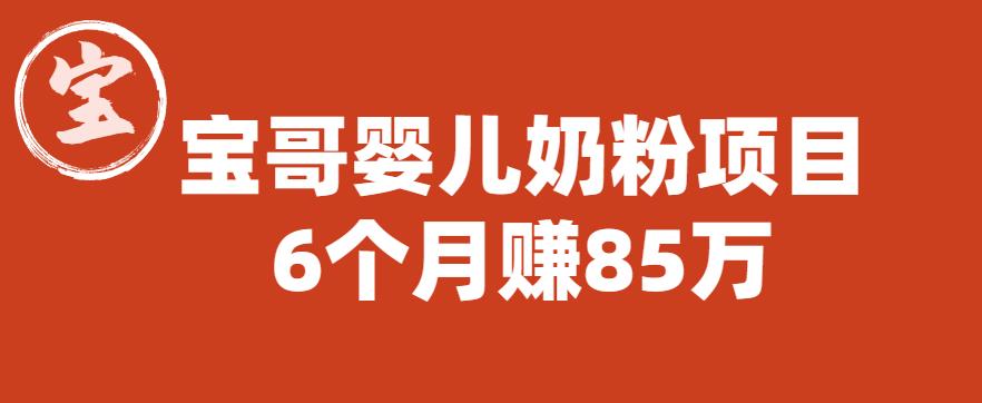 宝哥婴儿奶粉项目，6个月赚85w【图文非视频】【揭秘】-启航188资源站