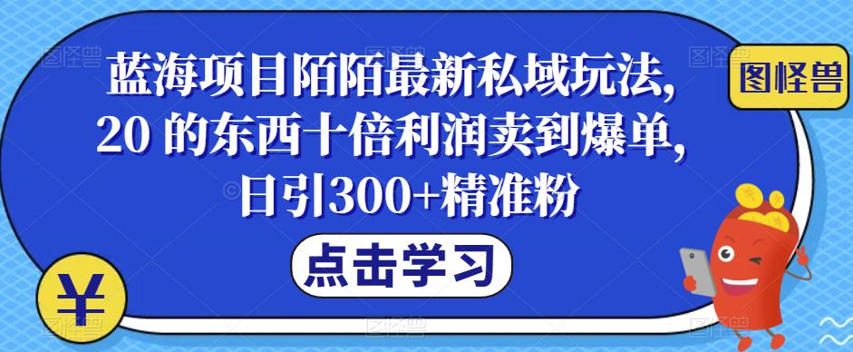 蓝海项目陌陌最新私域玩法，20 的东西十倍利润卖到爆单，日引300+精准粉【揭秘】-启航188资源站