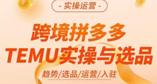 伍跃·跨境拼多多TEMU实操与选品，​趋势/选品/运营/入住（27节完整）-启航188资源站