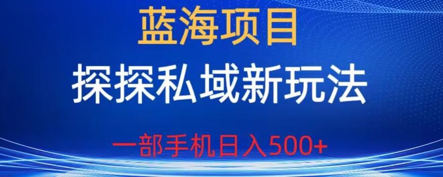 蓝海项目，探探私域新玩法，一部手机日入500+很轻松【揭秘】-启航188资源站