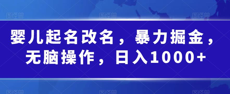 婴儿起名改名，暴力掘金，无脑操作，日入1000+【揭秘】-启航188资源站