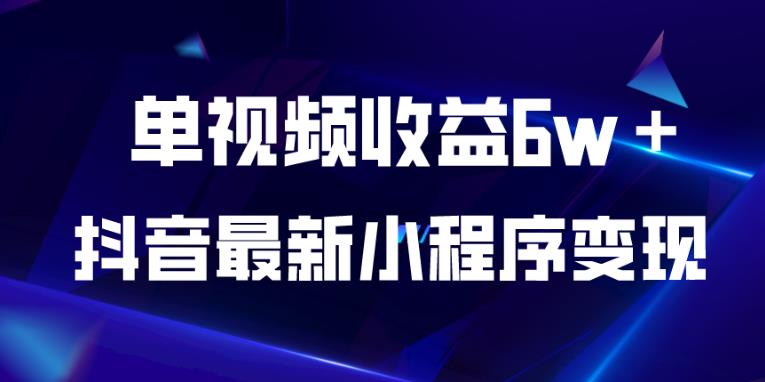 抖音最新小程序变现项目，单视频收益6w＋，小白可做【揭秘】-启航188资源站