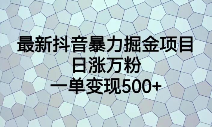 最新抖音暴力掘金项目，日涨万粉，一单变现500+【揭秘】-启航188资源站