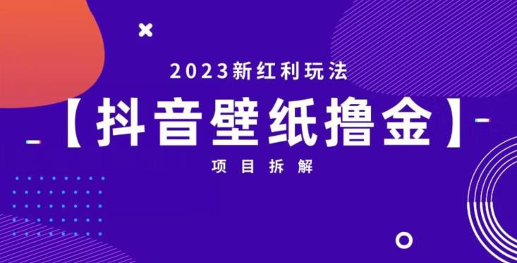 抖音壁纸小程序创作者撸金项目，2023新红利玩法【项目拆解】-启航188资源站