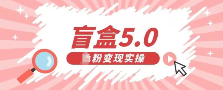 盲盒交友5.0，男粉变现实操项目，亲测变现效果极好【揭秘】-启航188资源站