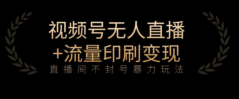 全网首发视频号不封号无人直播暴利玩法+流量印刷机变现，日入1000+【揭秘】-启航188资源站