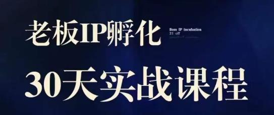 诸葛·2023老板IP实战课，实体同城引流获客，IP孵化必听-启航188资源站