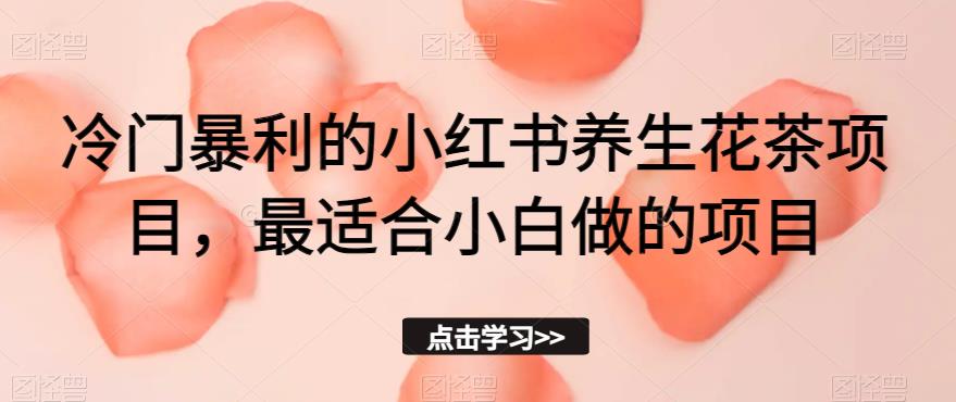 冷门暴利的小红书养生花茶项目，最适合小白做的项目【揭秘】-启航188资源站