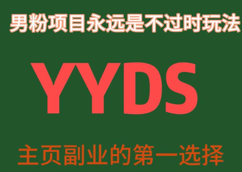 YYDS男粉项目永远是不过时玩法，主业副业的第一选择【揭秘】-启航188资源站