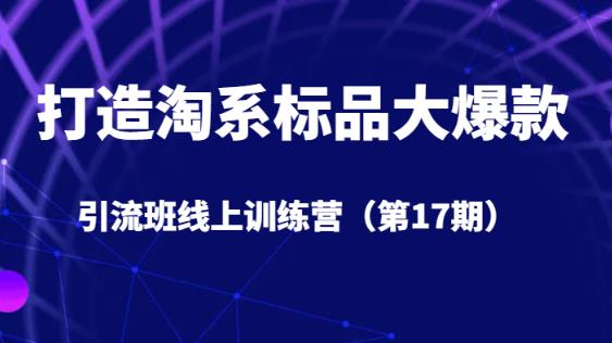 打造淘系标品大爆款引流班线上训练营（第17期）5天直播授课-启航188资源站