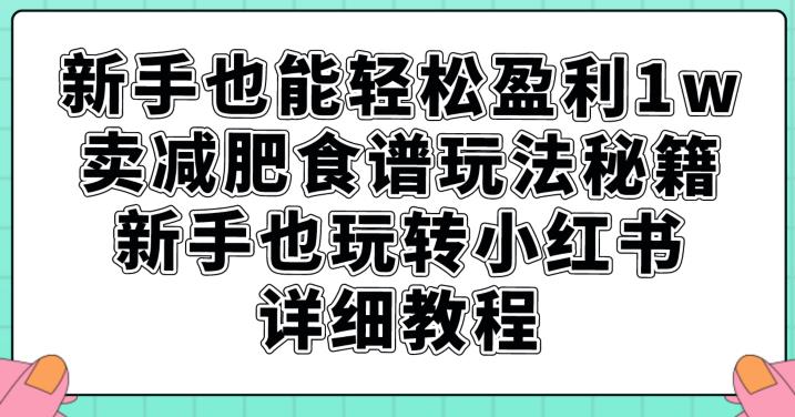 新手也能轻松盈利1w，卖减肥食谱玩法秘籍，新手也玩转小红书详细教程【揭秘】-启航188资源站