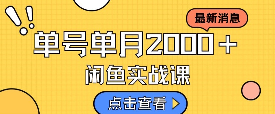 最新闲鱼日入500＋，虚拟资料变现喂饭级讲解-启航188资源站