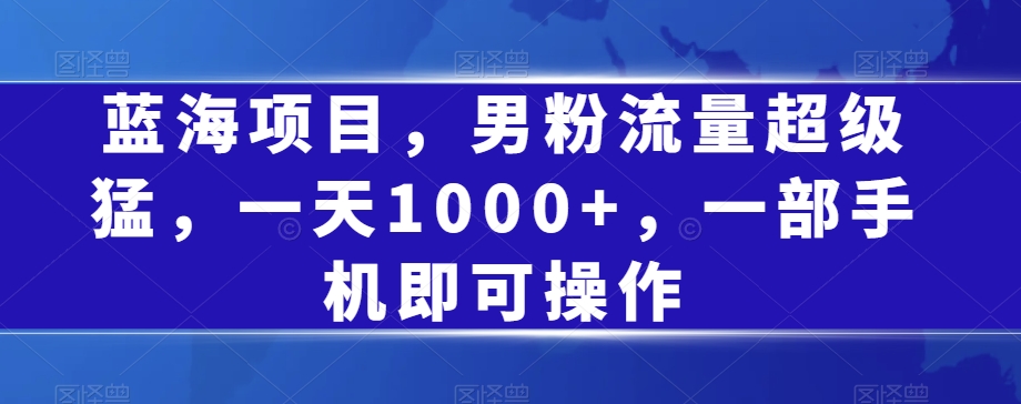 蓝海项目，男粉流量超级猛，一天1000+，一部手机即可操作【揭秘】-启航188资源站