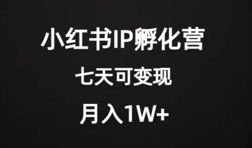 价值2000+的小红书IP孵化营项目，超级大蓝海，七天即可开始变现，稳定月入1W+-启航188资源站