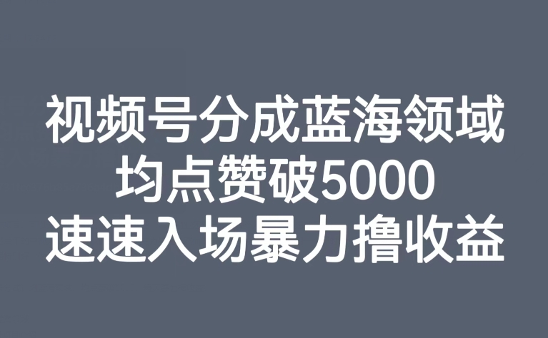 视频号分成蓝海领域，均点赞破5000，速速入场暴力撸收益-启航188资源站