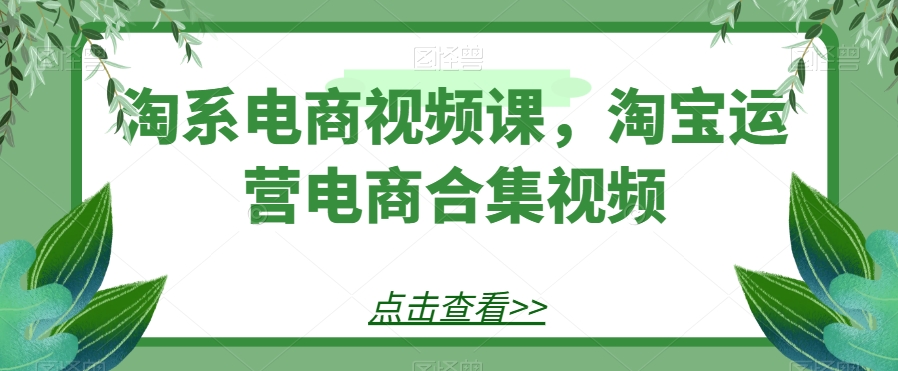 淘系电商视频课，淘宝运营电商合集视频-启航188资源站