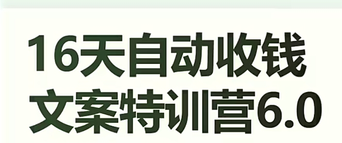 16天自动收钱文案特训营6.0，学会儿每天自动咔咔收钱-启航188资源站