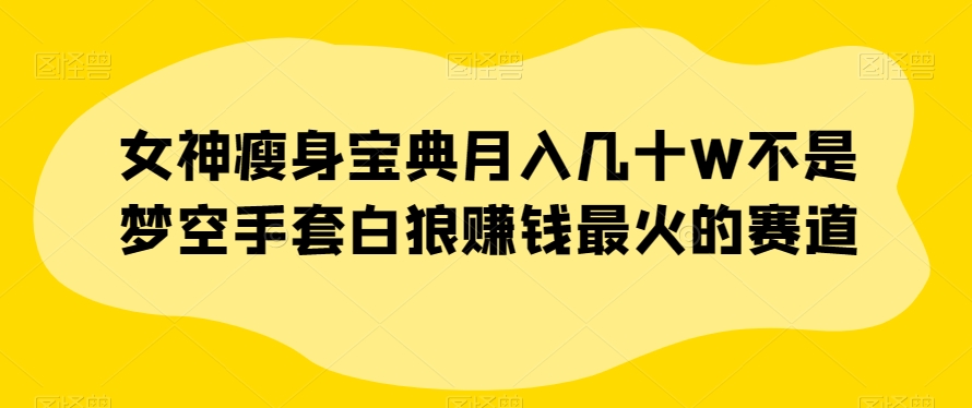 女神瘦身宝典月入几十W不是梦空手套白狼赚钱最火的赛道【揭秘】-启航188资源站