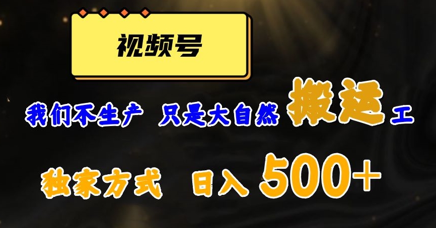 视频号轻松搬运日赚500+，一个1分钟1条原创视频【揭秘】-启航188资源站