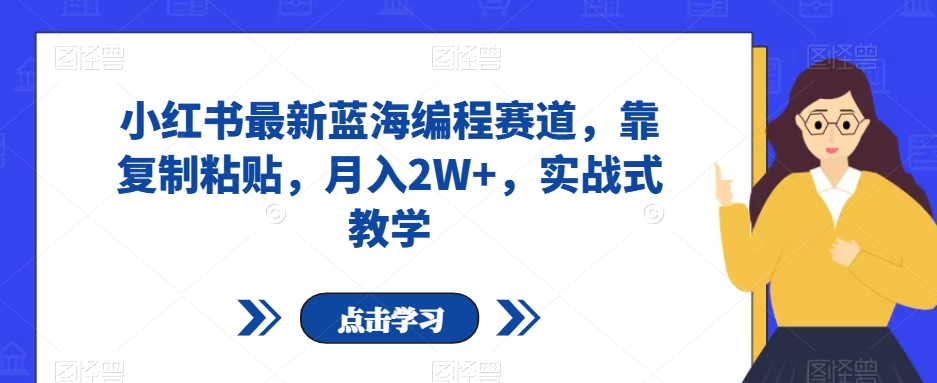 小红书最新蓝海编程赛道，靠复制粘贴，月入2W+，实战式教学【揭秘】-启航188资源站