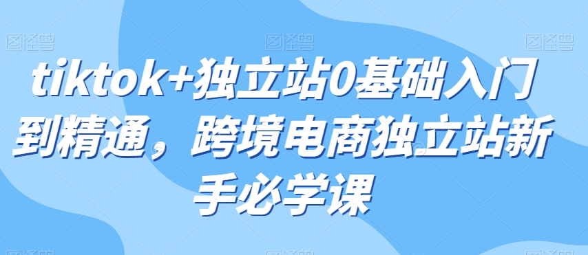 tiktok+独立站0基础入门到精通，跨境电商独立站新手必学课-启航188资源站