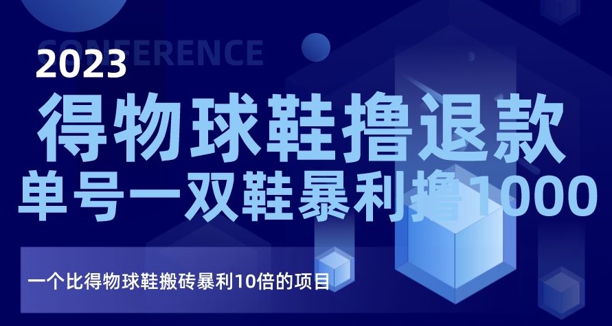 2023得物球鞋撸退款，单号一双鞋暴利撸1000，一个比得物球鞋搬砖暴利10倍的项目【揭秘】-启航188资源站