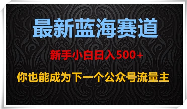 最新蓝海赛道，新手小白日入500+，你也能成为下一个公众号流量主【揭秘】-启航188资源站