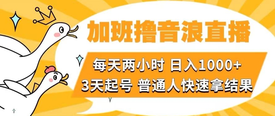 加班撸音浪直播，每天两小时，日入1000+，直播话术才3句，3天起号，普通人快速拿结果【揭秘】-启航188资源站