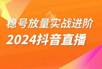 稳号放量实战进阶—2024抖音直播，直播间精细化运营的几大步骤-启航188资源站