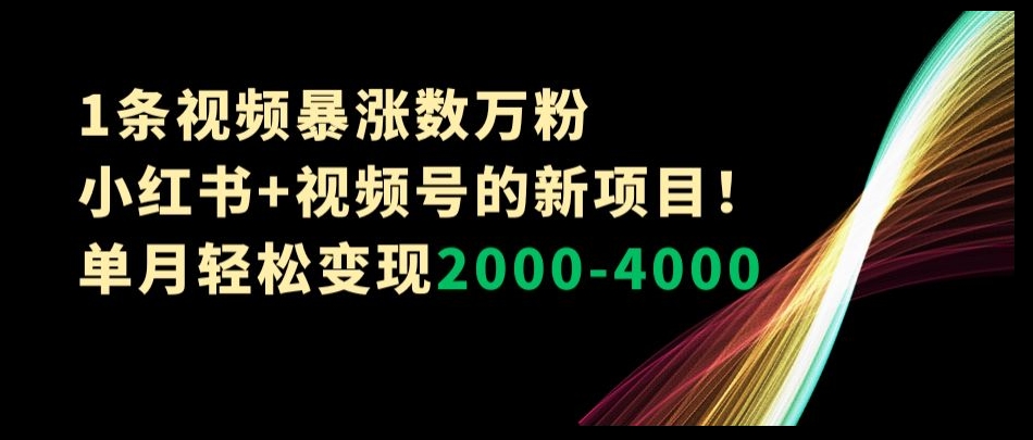 1条视频暴涨数万粉–小红书+视频号的新项目！单月轻松变现2000-4000【揭秘】-启航188资源站