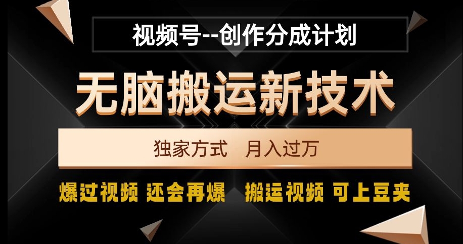 视频号无脑搬运新技术，破原创壕流量，独家方式，爆过视频，还会再爆【揭秘】-启航188资源站