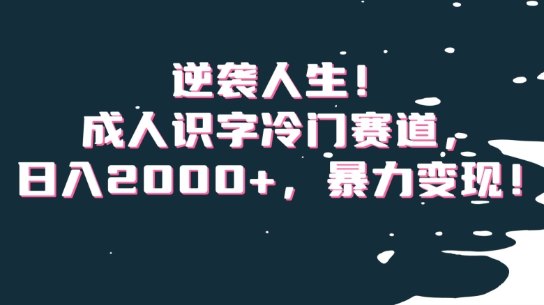 逆袭人生！成人识字冷门赛道，日入2000+，暴力变现！【揭秘】-启航188资源站