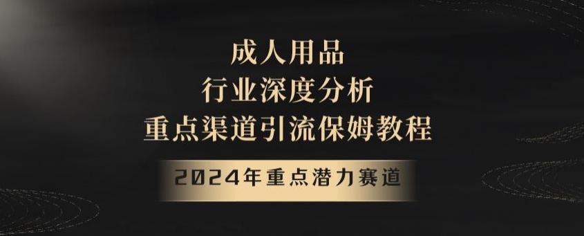 2024年重点潜力赛道，成人用品行业深度分析，重点渠道引流保姆教程【揭秘】-启航188资源站