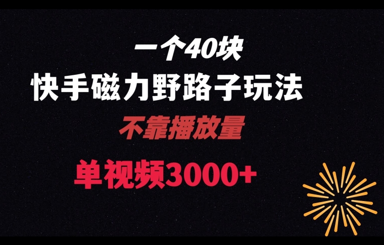 一个40块，快手联合美团磁力新玩法，无视机制野路子玩法，单视频收益4位数【揭秘】-启航188资源站