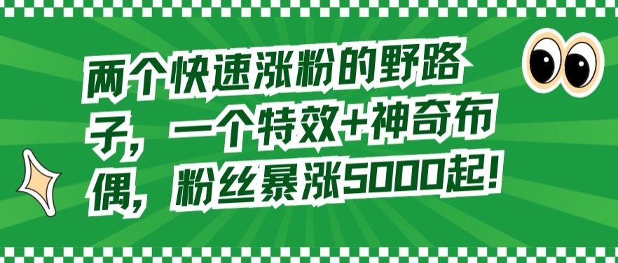 两个快速涨粉的野路子，一个特效+神奇布偶，粉丝暴涨5000起-启航188资源站