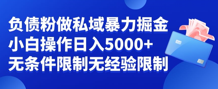 负债粉私域暴力掘金，小白操作入5000，无经验限制，无条件限制-启航188资源站