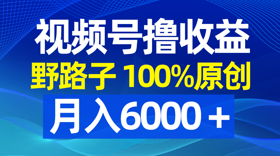 （8679期）视频号野路子撸收益，100%原创，条条爆款，月入6000＋-启航188资源站