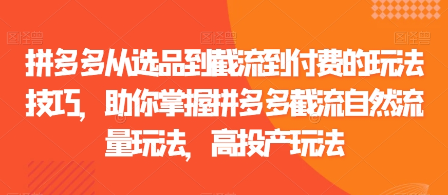 拼多多从选品到截流到付费的玩法技巧，助你掌握拼多多截流自然流量玩法，高投产玩法-启航188资源站