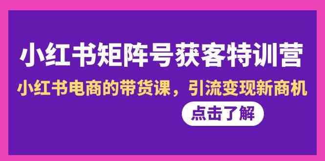 （8909期）小红书-矩阵号获客特训营-第10期，小红书电商的带货课，引流变现新商机-启航188资源站