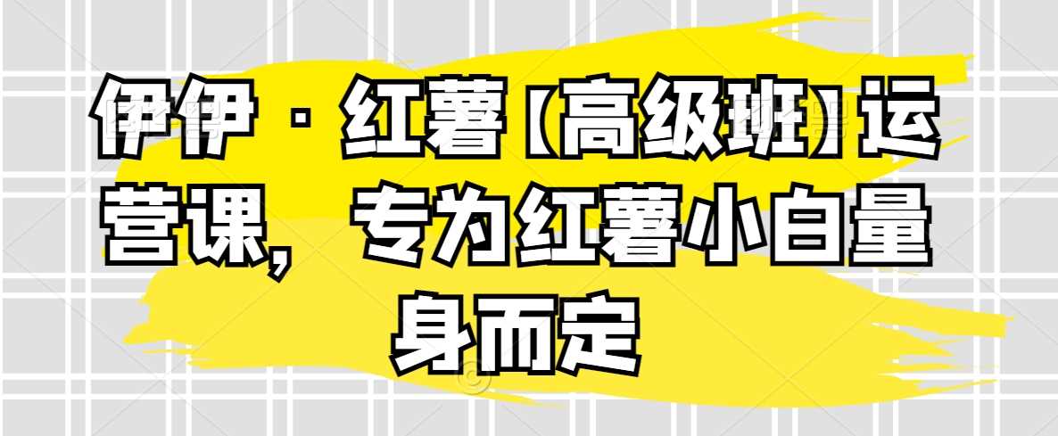 伊伊·红薯【高级班】运营课，专为红薯小白量身而定-启航188资源站